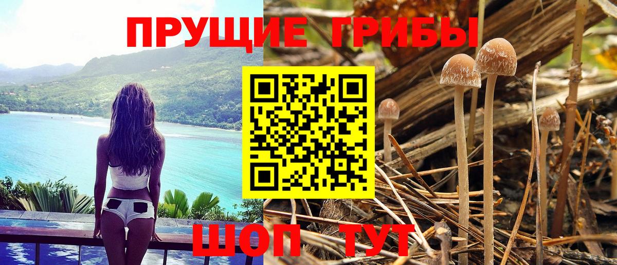 Псилоцибиновые грибы Magic Shrooms Ялуторовск