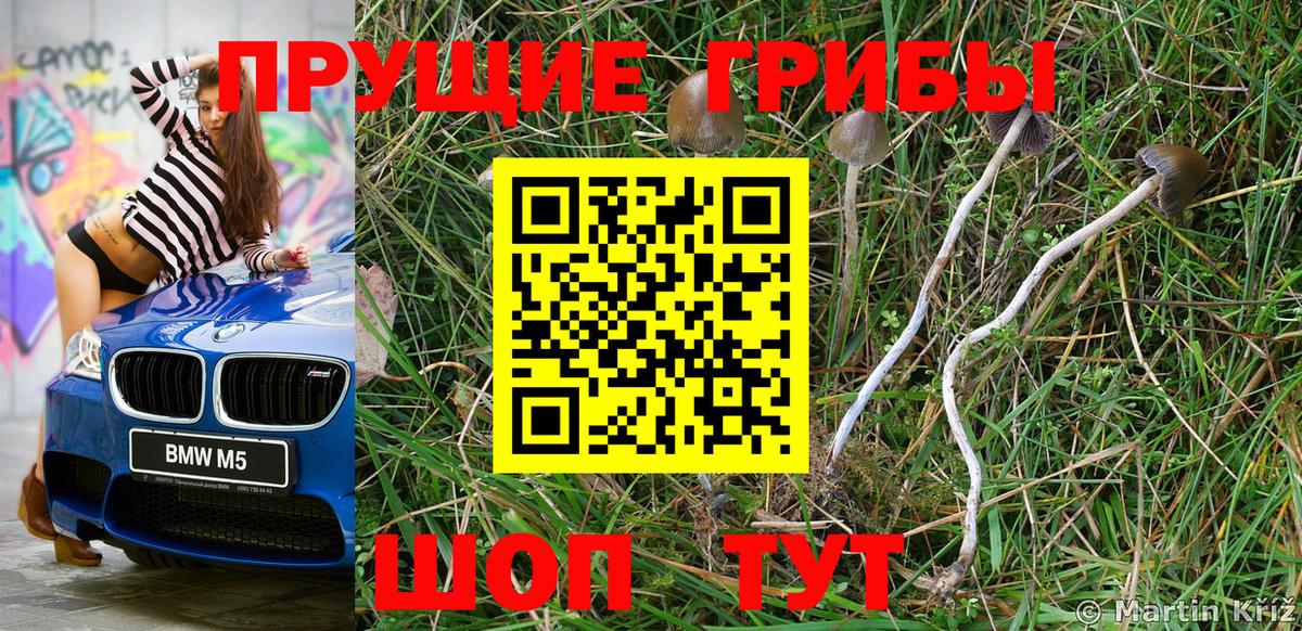 Ялуторовск  Галлюциногенные грибы Cubensis  Вход с VPN  Галлюциногенные грибы Cubensis 